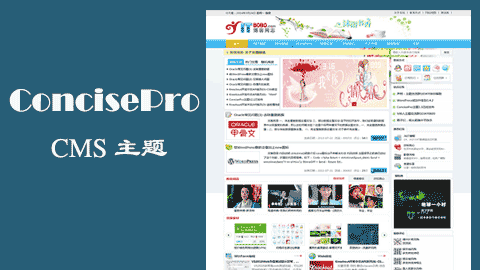 WordPress中文CMS主题：ConcisePro主题2.1版（最新免费版） 